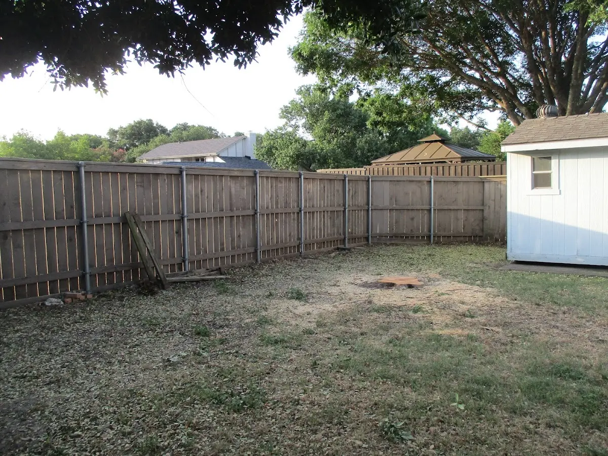 Cleared yard after professional tree removal in Patriot