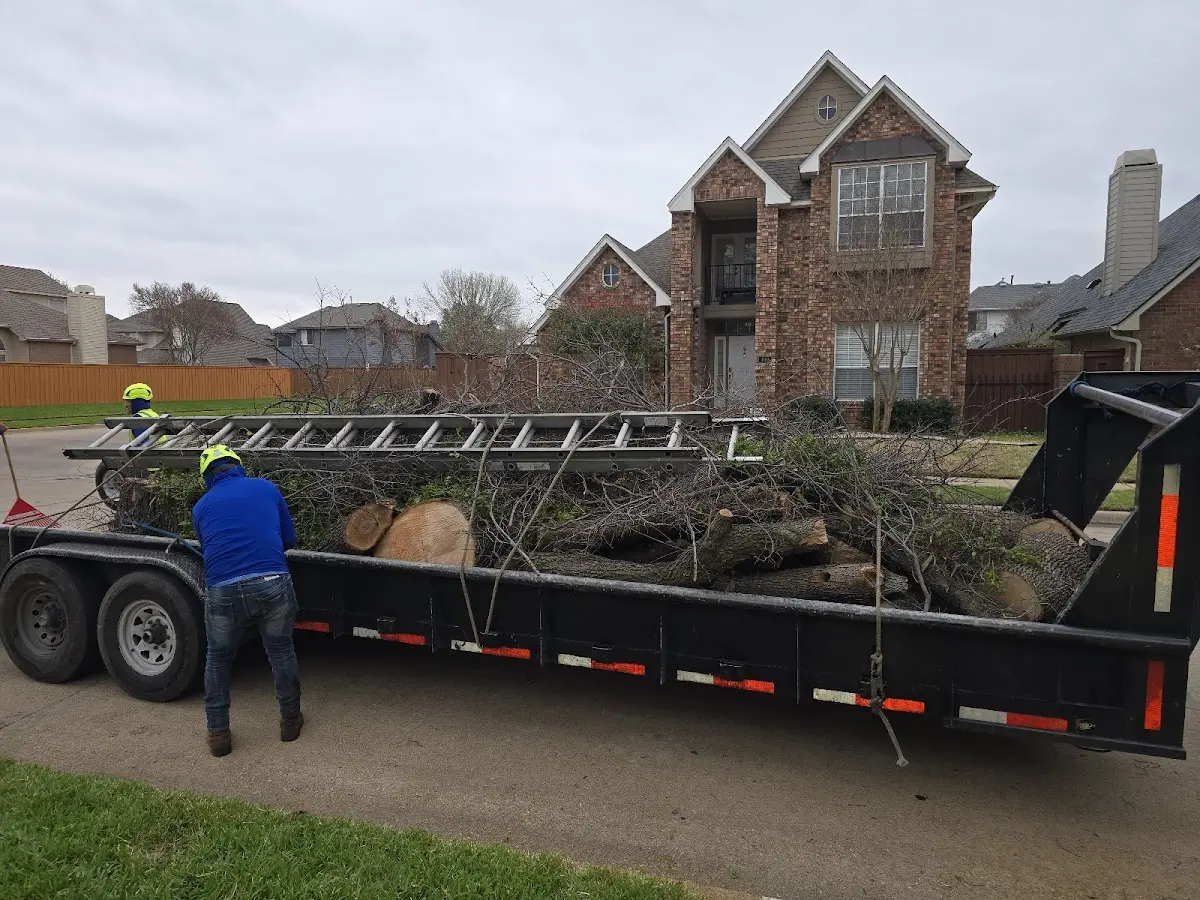 Expert Tree Removal with proper safety equipment in Patriot